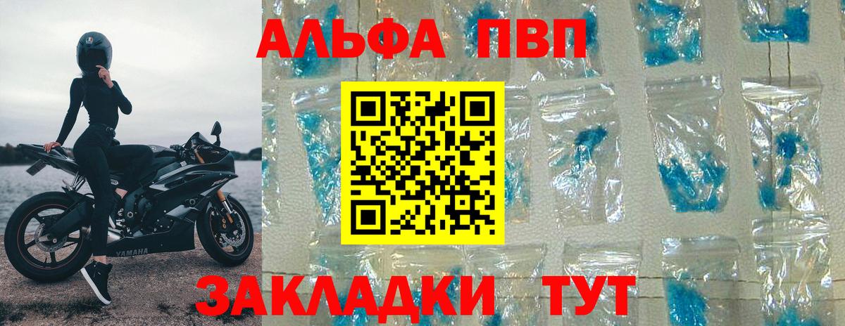 A PVP СК КРИС Тверь