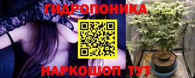 гидра Моздок