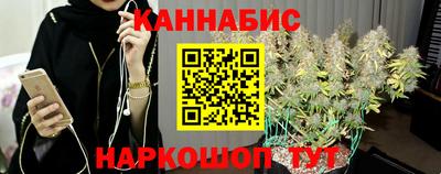 гидра Моздок