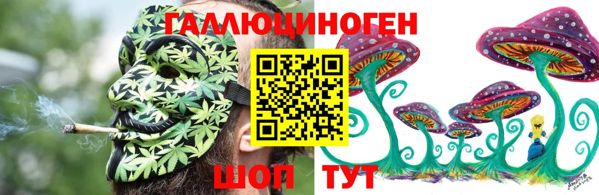 Псилоцибиновые грибы Magic Shrooms Тверь